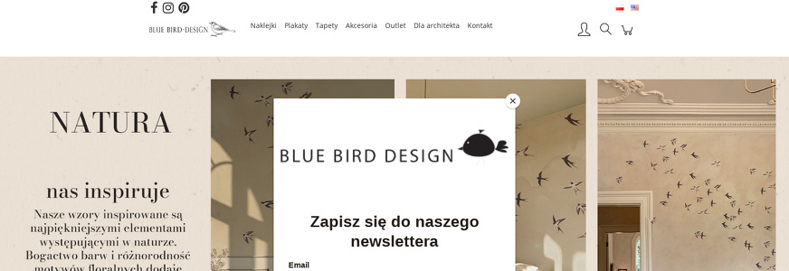 BLUEBIRD DESIGN