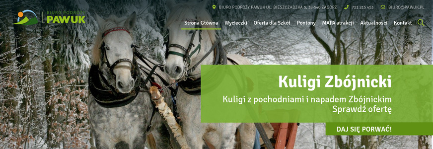 BIURO TURYSTYKI KULTUROWEJ PAWUK ANNA BUK