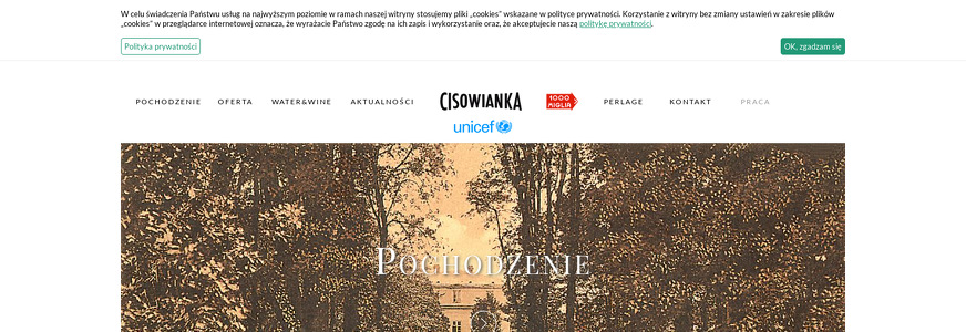 ZL NAŁĘCZÓW ZDRÓJ SP Z O O SPÓŁKA KOMANDYTOWO AKCYJNA